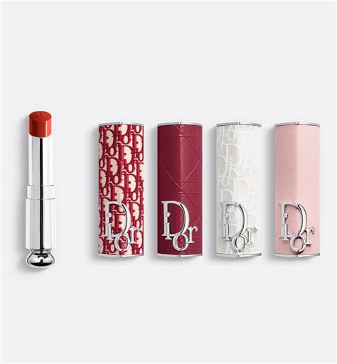 dior リップ ケース|ディオール（Dior） ディオール アディクト クチュール リップス .